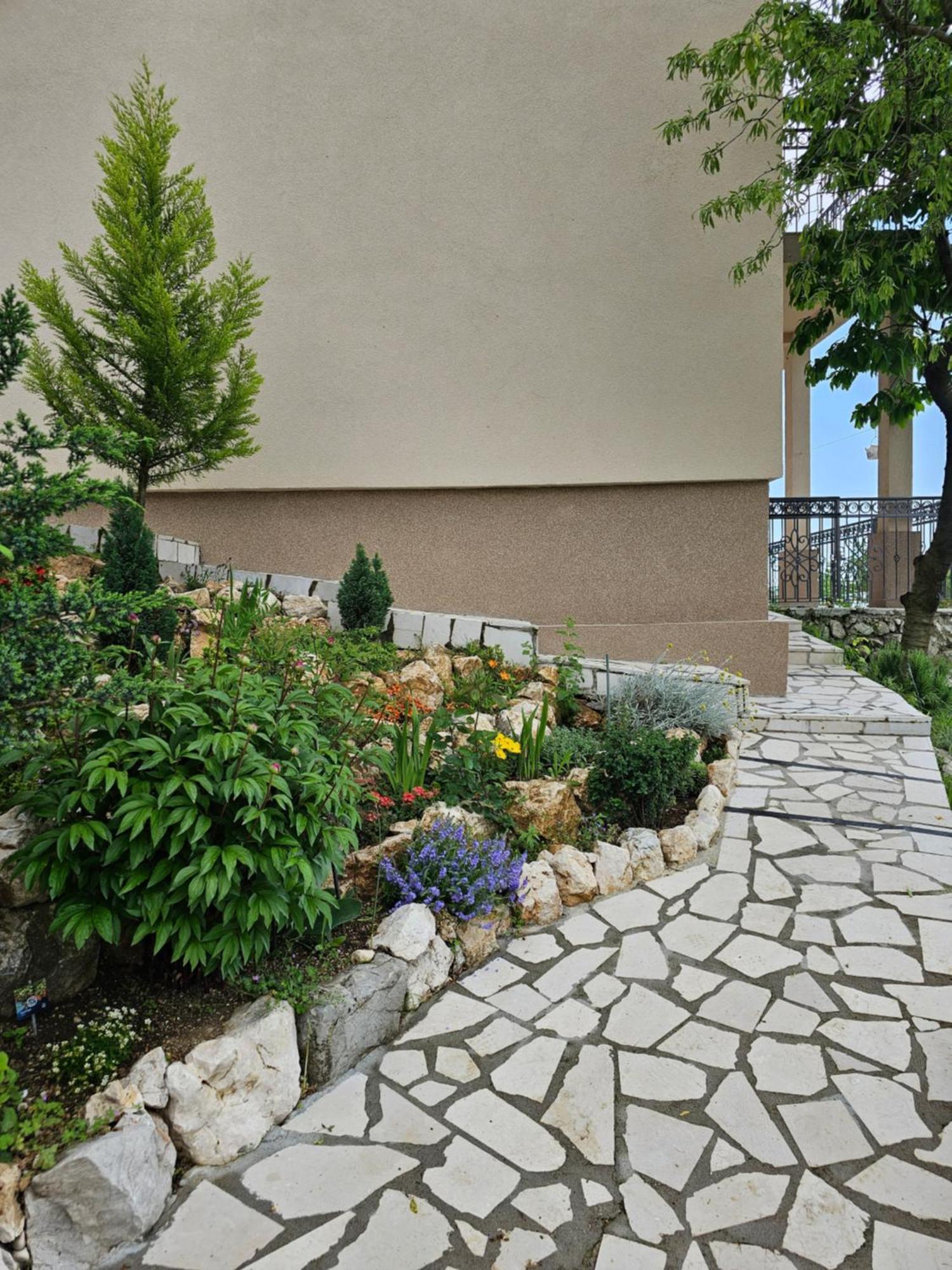 Apartment Paradise コトル 部屋 写真